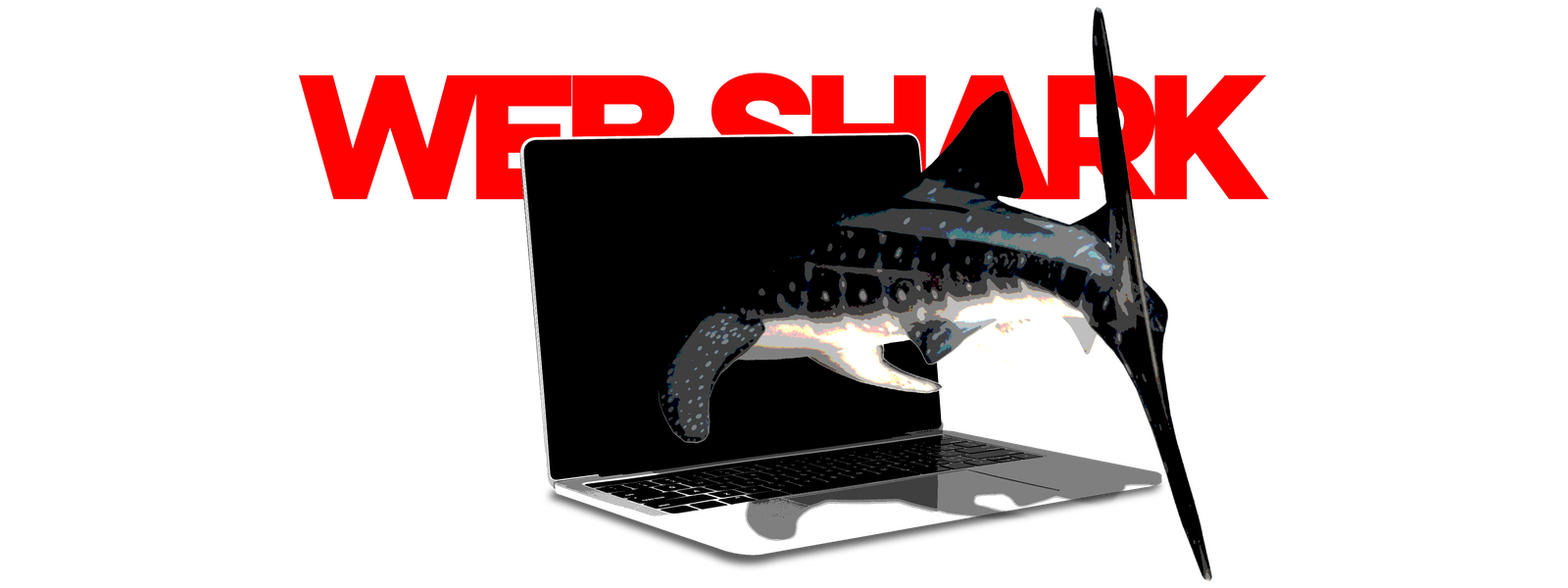 Websharkdesign Logo